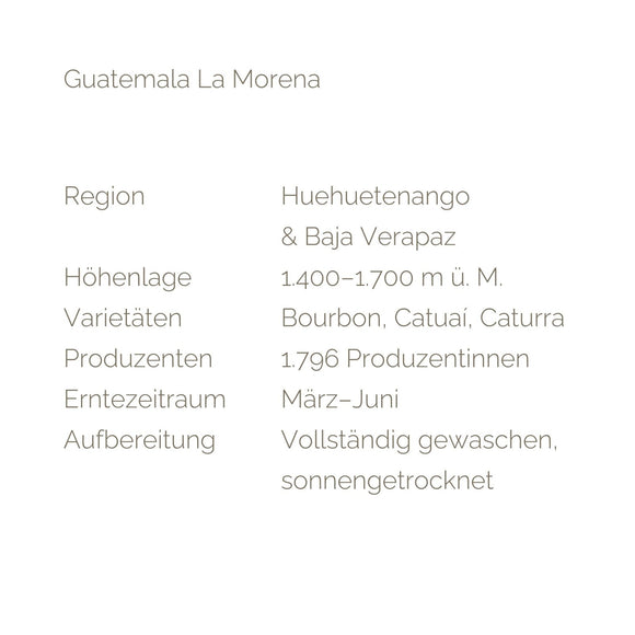 Guatemala La Morena - Barcomi's & Cynthia Barcomi's Onlineshop