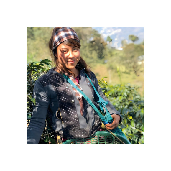 Guatemala La Morena - Barcomi's & Cynthia Barcomi's Onlineshop