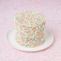 Birthday Cake | 15 cm Ø - Cynthia Barcomi's Onlineshop