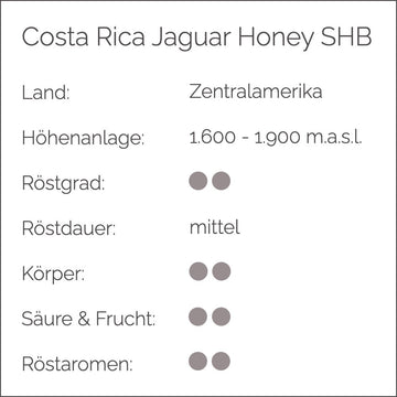 COSTA RICA JAGUNAR HONEY SHB - Barcomi's Onlineshop