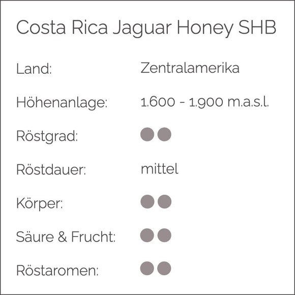 COSTA RICA JAGUNAR HONEY SHB - Barcomi's Onlineshop