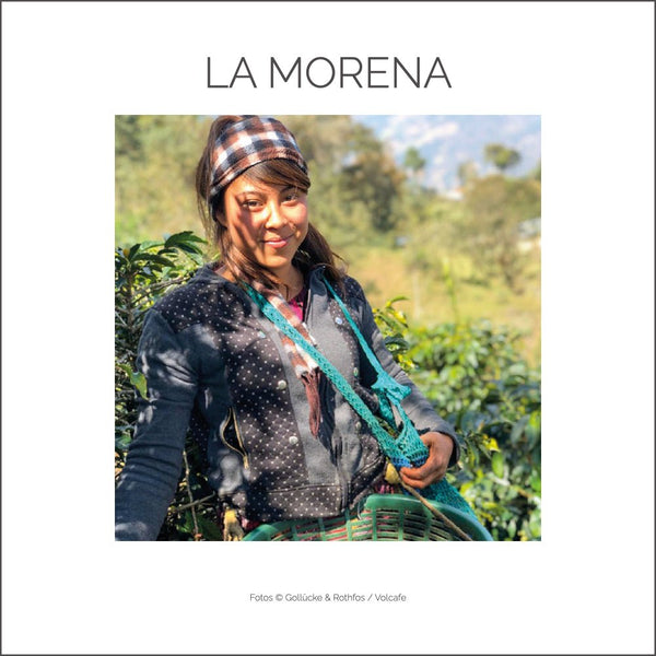 GUATEMALA LA MORENA - Barcomi's Onlineshop