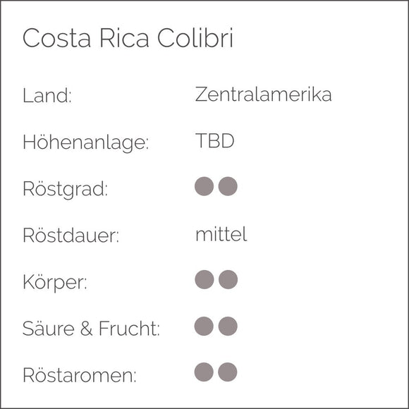 Kaffee Set | 125 g Tüten - Cynthia Barcomi's Onlineshop