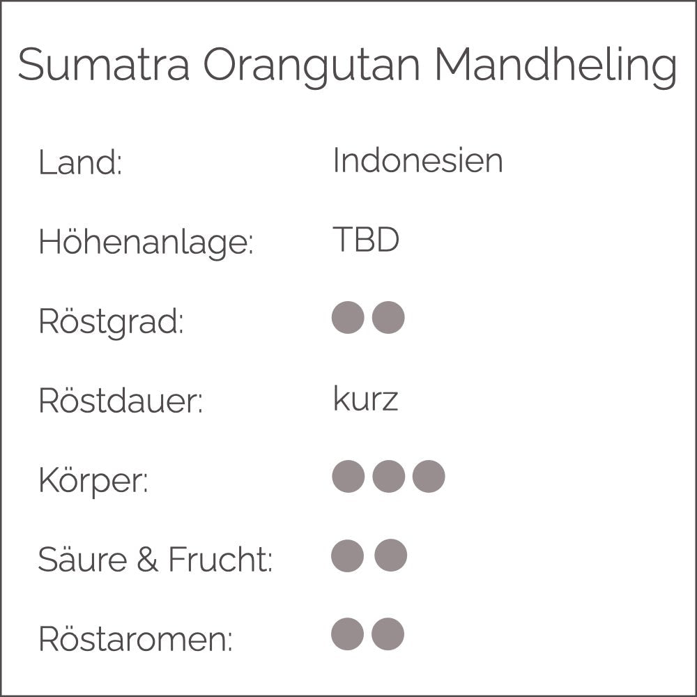 SUMATRA ORANGUTAN MANDHELING - Cynthia Barcomi's Onlineshop