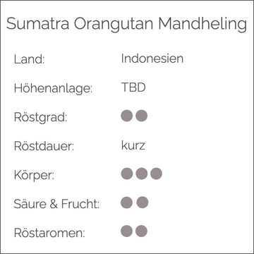 SUMATRA ORANGUTAN MANDHELING - Cynthia Barcomi's Onlineshop